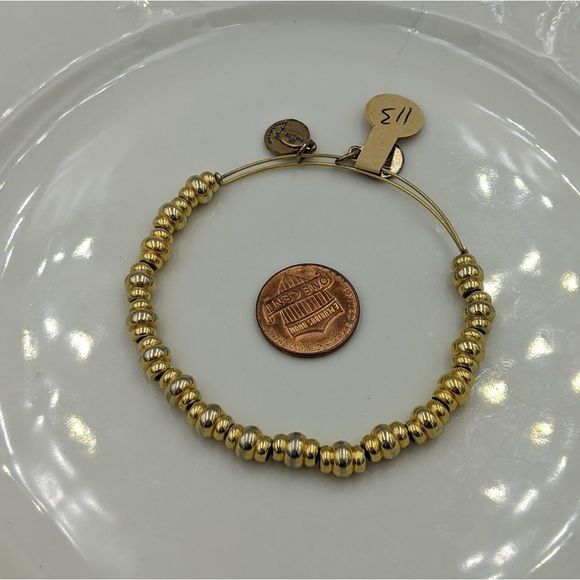 Alex and Ani Rafaleian Silver Nile Beaded Bracelet - Picture 6 of 8